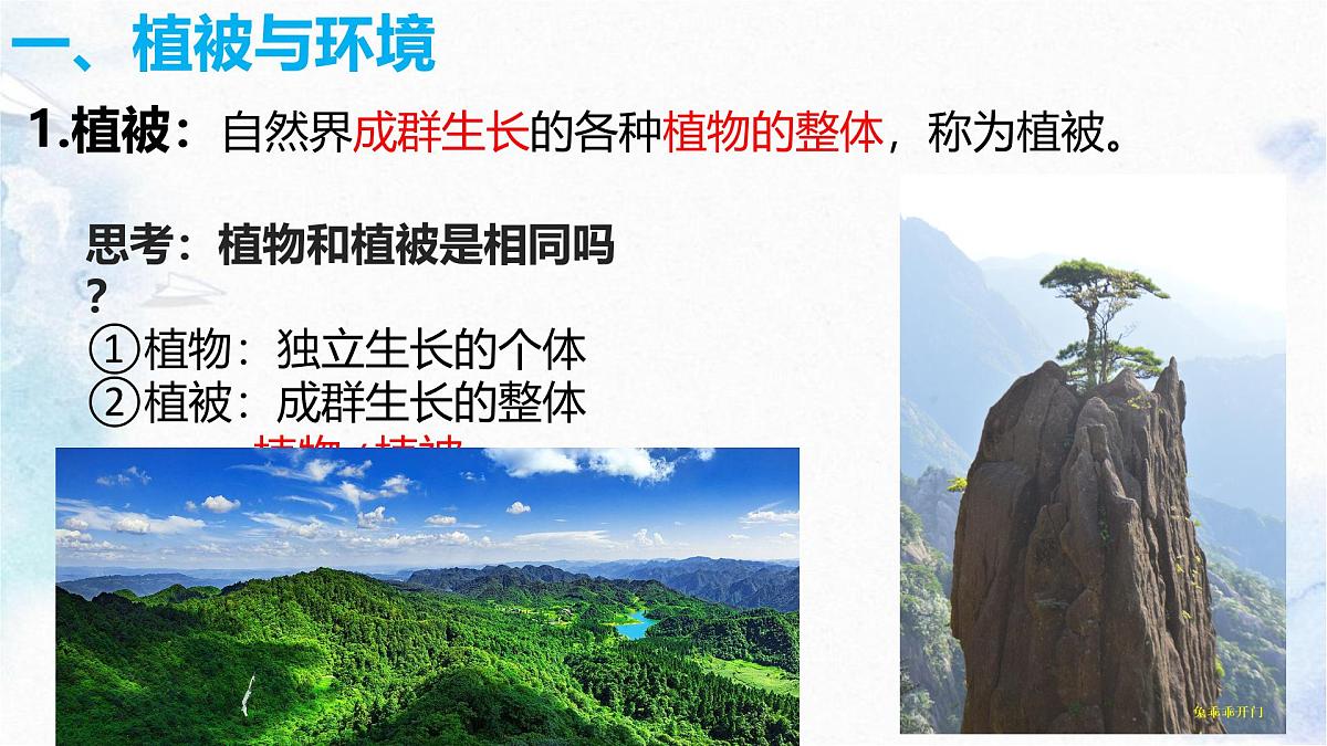 人教版 2019 高中地理必修一5.1 植被课件 PPT第6页