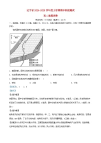辽宁省沈阳市2024_2025学年高二地理上学期期中试题含解析