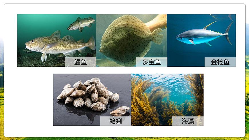 湘教版(2019)高中地理必修第一冊(cè)4.3 海洋與人類 課件第4頁(yè)