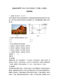 河南省洛阳市2024-2025学年高二下学期6月期末地理试卷（解析版）