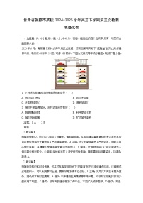 甘肃省张掖市某校2024-2025学年高三下学期第三次检测地理试卷（解析版）