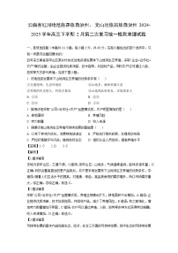 云南省红河哈尼族彝族自治州、文山壮族苗族自治州2024-2025学年高三下学期2月第二次复习统一检测地理试卷（解析版）