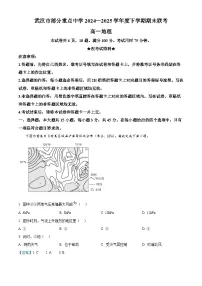 湖北省武汉市部分重点中学2024-2025学年高一下学期期末联考地理试卷(解析版)