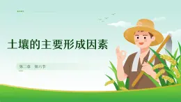2.6 土壤的主要形成因素（教學(xué)課件）——高中地理中圖版（2019）必修一