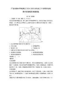 广东省惠州市博罗县2024-2025学年高二下学期阶段性教学质量检测地理试题（解析版）