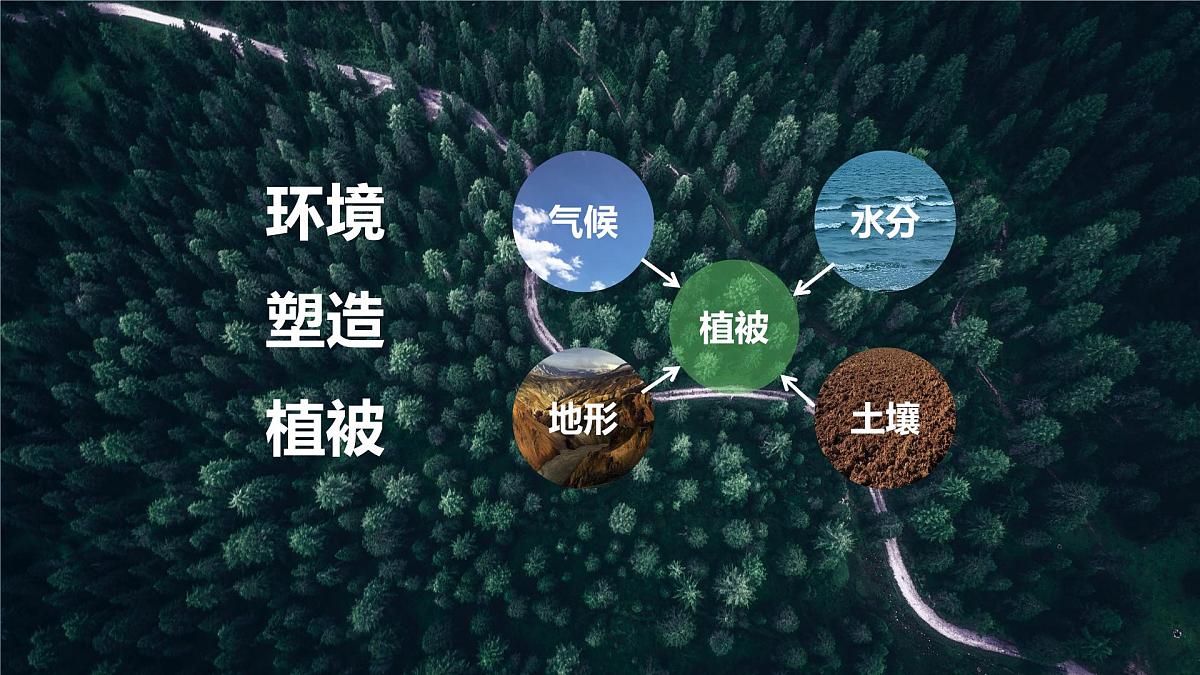 人教版(2019)高一地理必修一全册5.1《植被》(课件)第6页