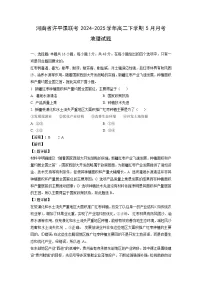 河南省许平漯联考2024-2025学年高二下学期5月月考地理试题（解析版）