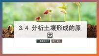 鲁教版 (2019)必修 第一册分析土壤形成的原因教课内容ppt课件