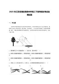 2025届河南省实验中学高三下全真模拟地理试卷（含答案解析）