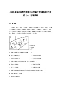2025届湖北省黄石市第二中学高三下学期适应性考试（一）地理试卷（含答案解析）