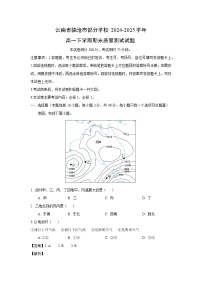 云南省临沧市部分学校2024-2025学年高一下学期期末质量测试地理试卷（解析版）