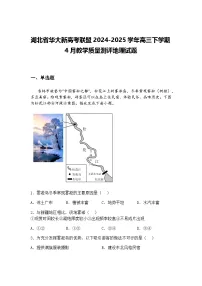 湖北省华大新高考联盟2024-2025学年高三下学期4月教学质量测评地理试题(含答案解析)