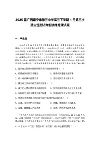 2025届广西南宁市第三中学高三下学期4月第三次适应性测试考前演练地理试题(含答案解析)