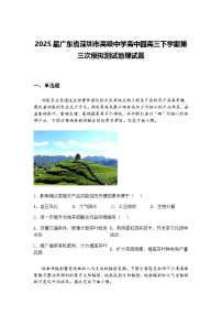 2025届广东省深圳市高级中学高中园高三下学期第三次模拟测试地理试题（含答案解析）