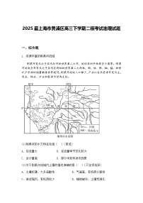 2025届上海市黄浦区高三下学期二模考试地理试题（含答案解析）