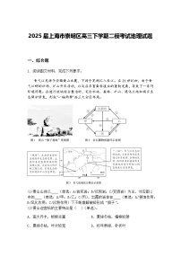2025届上海市崇明区高三下学期二模考试地理试题（含答案解析）