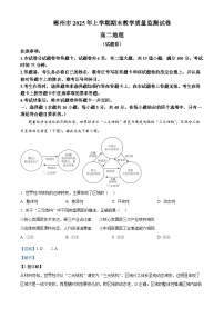 湖南省郴州市2024-2025学年高二下学期期末教学质量监测地理试卷 含解析