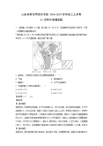 山东省青岛市部分学校2024-2025学年高二上学期11月期中地理试卷（解析版）