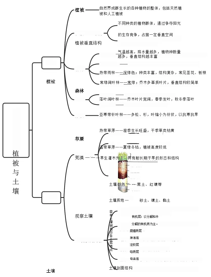 第五章植被与土壤——高一地理人教版(2019)必修一思维导图第1页