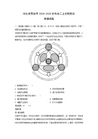 2024-2025学年河北省邢台市高二上学期期末地理试题（解析版）
