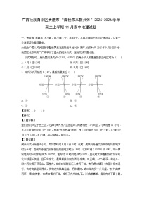 广西壮族自治区贵港市“泽桂未来教共体”2025-2026学年高二上学期11月期中地理试题（解析版）