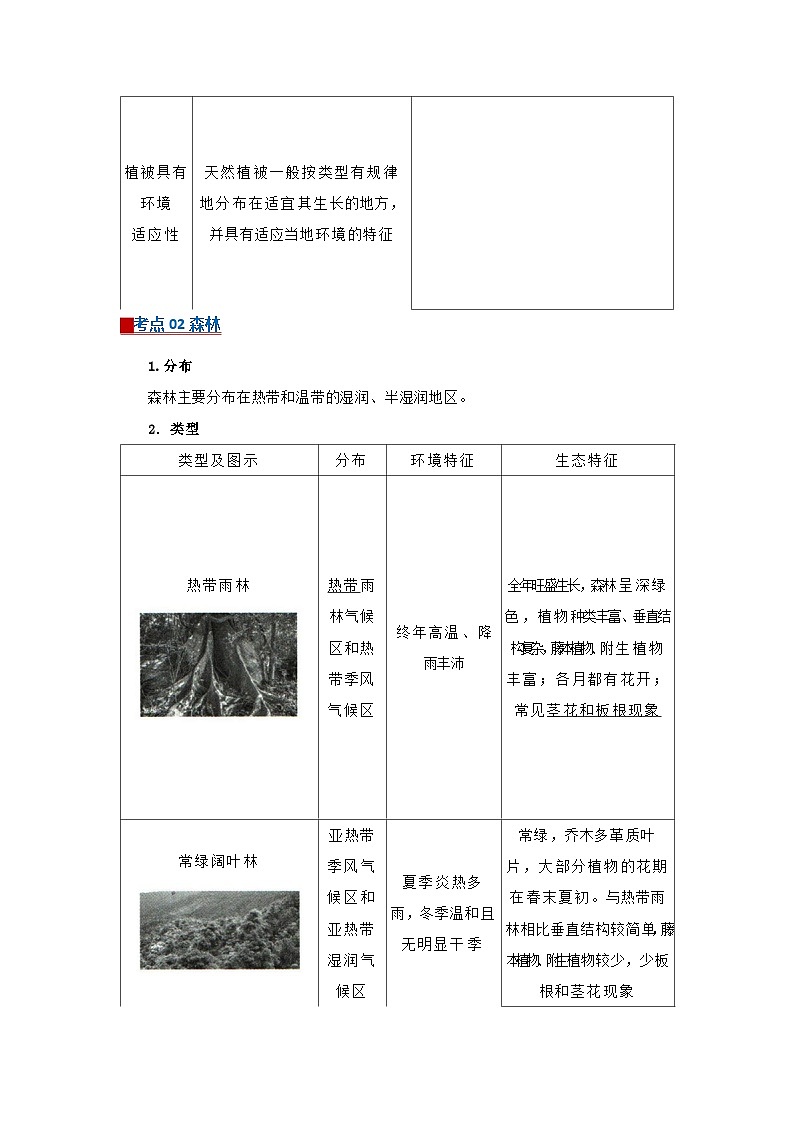 专题05植被与土壤(word)2025-2026学年高中地理高一必修一期末复习学案知识清单+习题(原卷版)第2页