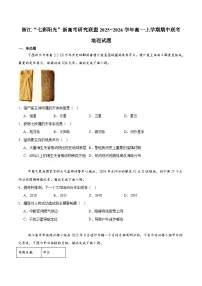 浙江省“七彩阳光”新高考研究联盟2025-2026学年高一上学期期中联考 地理试卷(含答案)