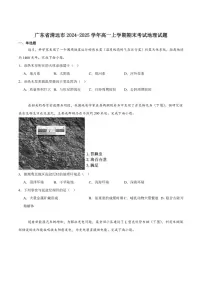 2024-2025学年广东省清远市高一上学期期末教学质量检测地理试卷(有(有答案)