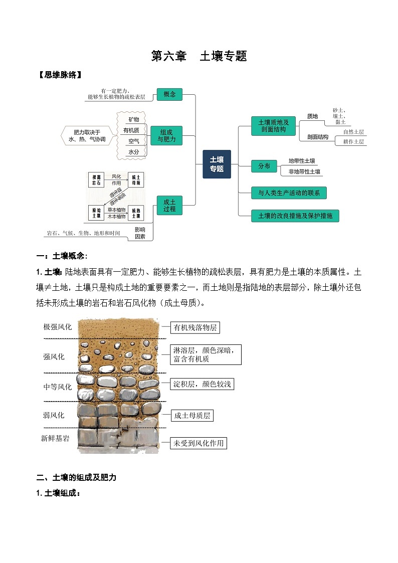 6.1 土壤专题(讲义)- 高考地理一轮复习讲练测第1页
