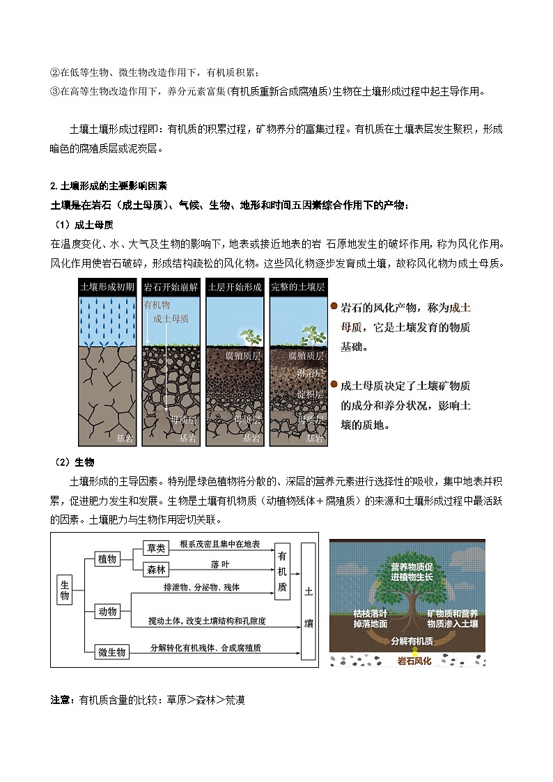 6.1 土壤专题(讲义)- 高考地理一轮复习讲练测第3页