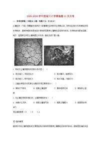 河南省南阳市卧龙区育才高级中学2025_2026学年高三上册12月月考地理试题【附解析】