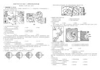 四川省成都市树德中学高2024级(2027届)高二年级上期期末测试地理试卷（含答案）