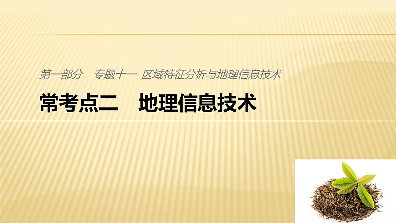 2019届二轮 复习 :专题十一 区域特征分析与地理信息技术 常考点二 课件(28张)(全国通用)01