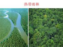 高中地理人教版 (新课标)必修3第二章 区域生态环境建设第二节 森林的开发和保护──以亚马孙热带雨林为例多媒体教学课件ppt