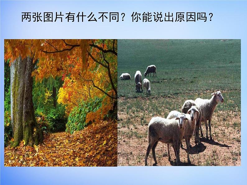 高中地理人教版必修1 5.2自然地理环境的差异性课件(共24 张PPT)01