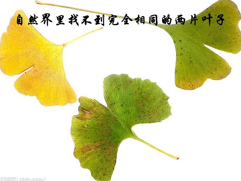 高中地理人教版必修1 5.2自然地理环境的差异性课件(共24 张PPT)02