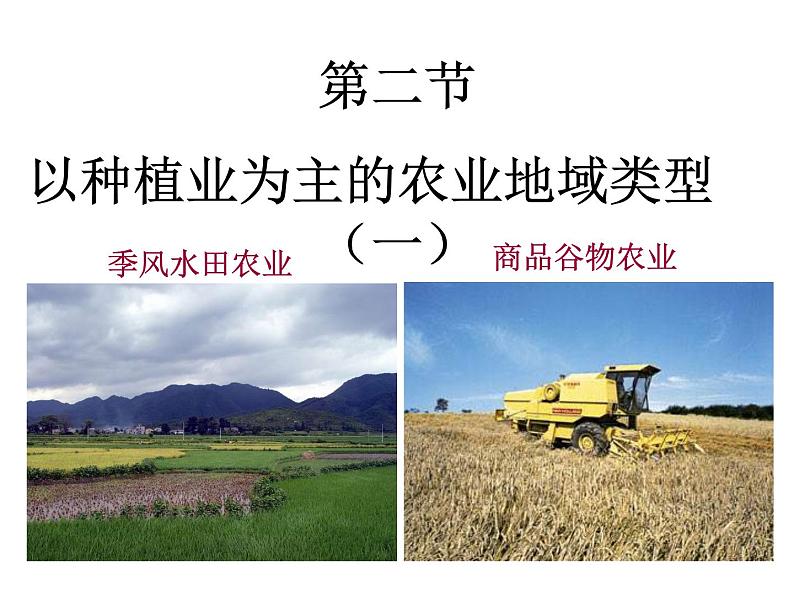 人教版高中地理必修二3.2.1以种植业为主的农业地域类型课件 (共 20张PPT)01
