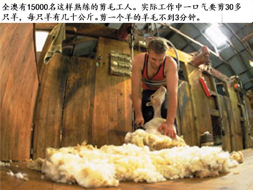 高中地理 3.1農(nóng)業(yè)地域的形成課件2 新人教版必修2第7頁(yè)
