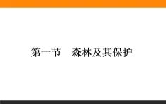 高二地理人教版选修6课件：4.1 森林及其保护