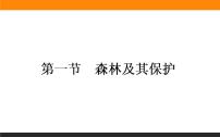 高中地理人教版 (新课标)选修6第四章 生态环境保护第一节 森林及其保护教学演示ppt课件