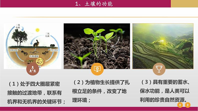 2020-2021学年新教材地理人教版必修第一册同步教学课件:基础案 5.2 土壤 第2课时课件(16张)04