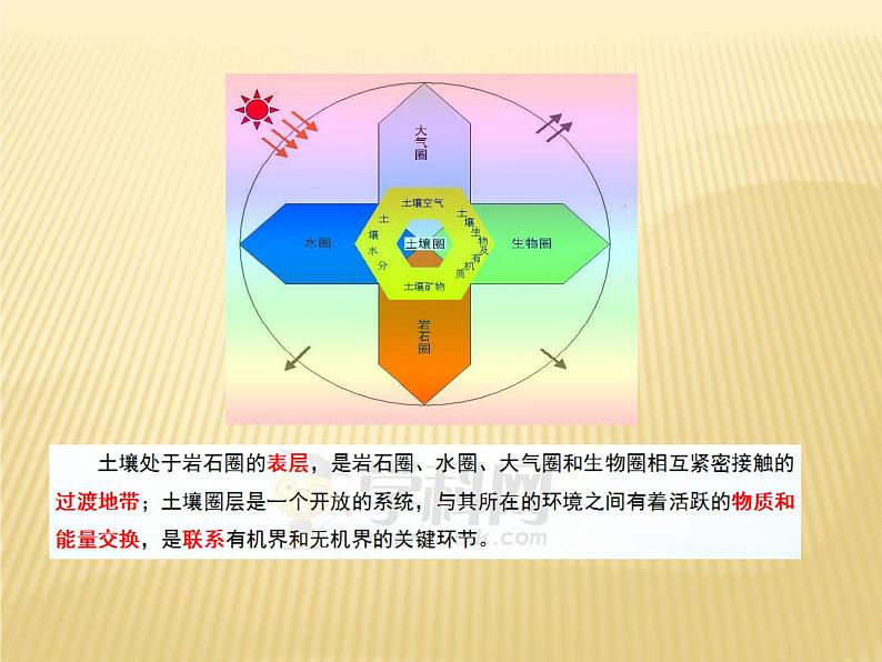 2020-2021学年新教材地理人教版必修第一册同步教学课件:提升案 5.2土壤(第2课时) 课件(23张)05