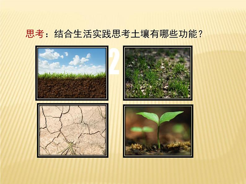 2020-2021学年新教材地理人教版必修第一册同步教学课件:提升案 5.2土壤(第2课时) 课件(23张)06