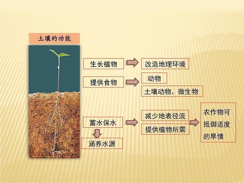 2020-2021学年新教材地理人教版必修第一册同步教学课件:提升案 5.2土壤(第2课时) 课件(23张)07