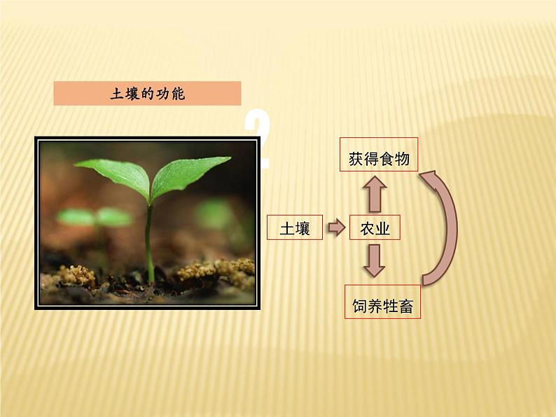 2020-2021学年新教材地理人教版必修第一册同步教学课件:提升案 5.2土壤(第2课时) 课件(23张)08
