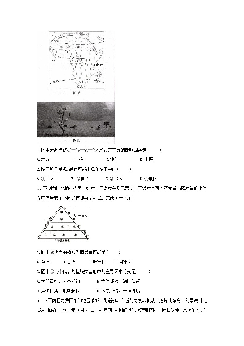高中地理人教版(2019)必修第一册同步学典:(17)植被 试卷02