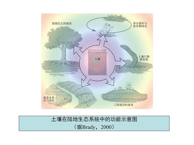 2019-2020学年【新教材】人教版高中地理必修1课件:5.2土壤 (共78张PPT)03