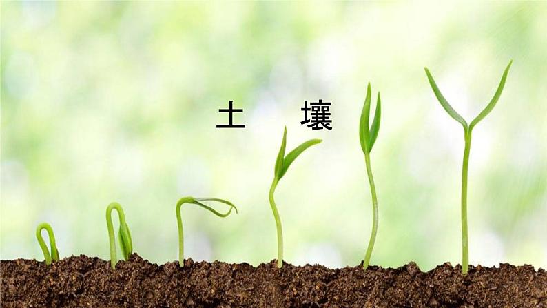 2019-2020学年【新教材】人教版高中地理必修1课件:5.2土壤(共27张PPT)01