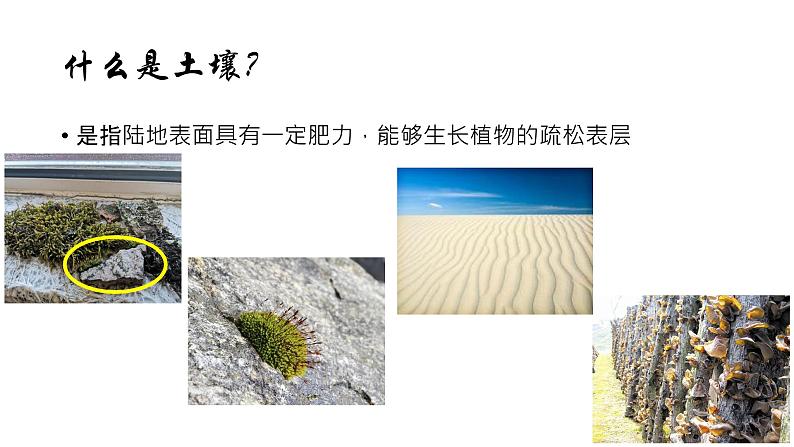 2019-2020学年【新教材】人教版高中地理必修1课件:5.2土壤(共27张PPT)02