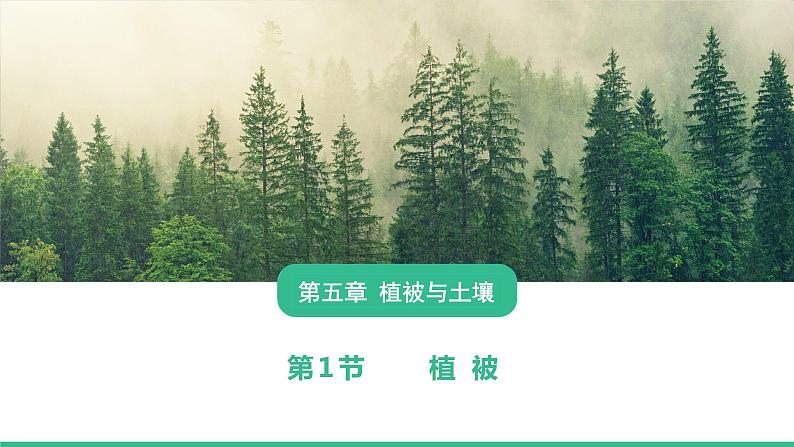 2019-2020学年【新教材】人教版高中地理必修1课件:5.1 植被((共32张PPT)01
